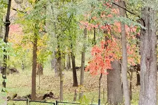 7832 18th St N, Oakdale, MN 55128 - Photo 31