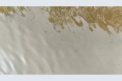 27762 Leef Road, Webster, WI 54893 - Photo 9