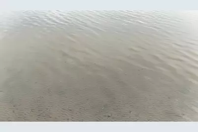 27762 Leef Road, Webster, WI 54893 - Photo 7