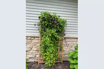 1132 Bay Drive SE, Forest Lake, MN 55025 - Photo 9