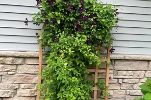 1132 Bay Dr SE, Forest Lake, MN 55025 - Photo 9