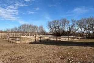 20362 370th Ave, Cyrus, MN 56323 - Photo 9