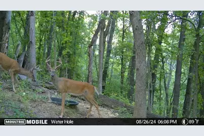 W4824 Puent Road, La Crosse, WI 54601 - Photo 19