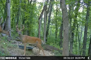 W4824 Puent Rd, La Crosse, WI 54601 - Photo 19