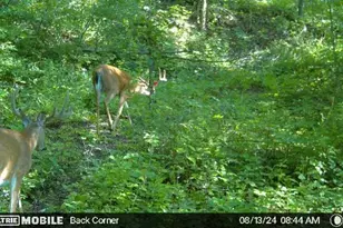 W4824 Puent Rd, La Crosse, WI 54601 - Photo 17