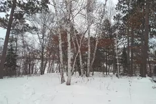 50164 County 29, Bemidji, MN 56601 - Photo 65