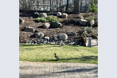 6068 Olinger Circle, Edina, MN 55436 - Photo 39