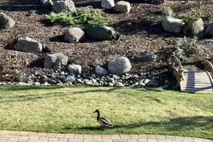 6068 Olinger Cir, Edina, MN 55436 - Photo 39