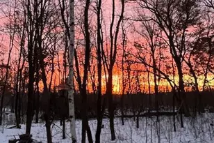 6323 Red Maple Ln, Lino Lakes, MN 55014 - Photo 47