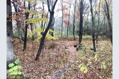 6323 Red Maple Lane, Lino Lakes, MN 55014 - Photo 49