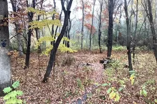 6323 Red Maple Ln, Lino Lakes, MN 55014 - Photo 49