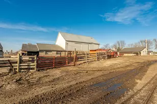 10460 County Rd 50, Cologne, MN 55322 - Photo 43