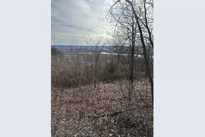 Lot 4 Alma Hills, Alma, WI 54610 - Photo 27
