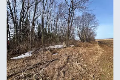 Tbd 120th St SW, Milan, MN 56262 - Photo 29