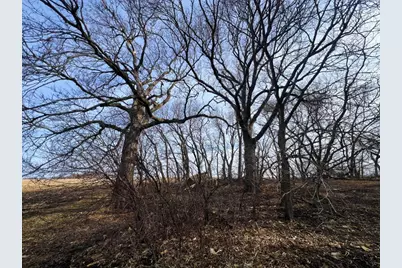 Tbd 120th St SW, Milan, MN 56262 - Photo 31