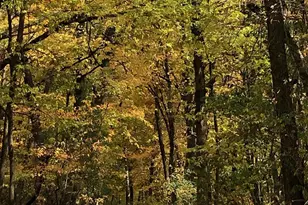 11973 Grey Cloud Trail S, Cottage Grove, MN 55016 - Photo 33