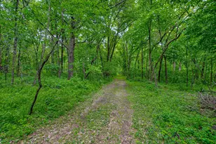 11973 Grey Cloud Trail S, Cottage Grove, MN 55016 - Photo 31