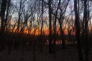 11973 Grey Cloud Trail S, Cottage Grove, MN 55016 - Photo 11