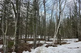 Tbd Stark Rd, Cloquet, MN 55720 - Photo 1