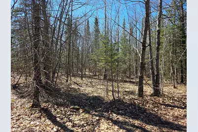 Tbd Stark Road, Cloquet, MN 55720 - Photo 1
