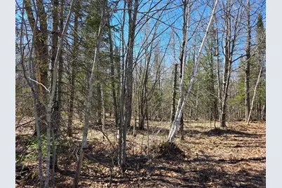 Tbd Stark Road, Cloquet, MN 55720 - Photo 3