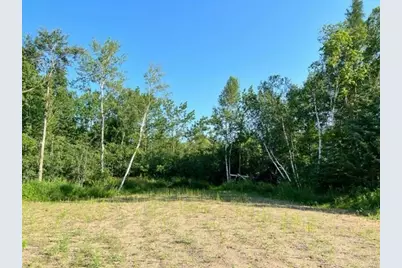 Tbd Co Hwy 71, Wadena, MN 56482 - Photo 7