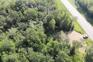 Tbd Co Hwy 71, Wadena, MN 56482 - Photo 1