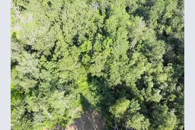 Tbd Co Hwy 71, Wadena, MN 56482 - Photo 3