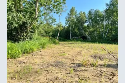 Tbd Co Hwy 71, Wadena, MN 56482 - Photo 5