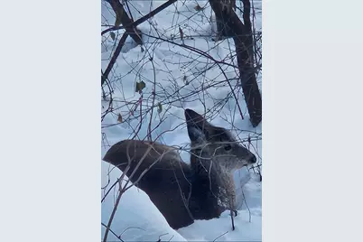 1855 Silver Bell Road #314, Eagan, MN 55122 - Photo 19