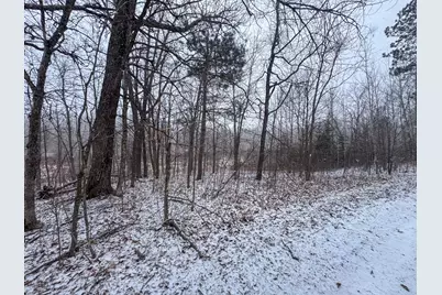 Tbd 181st Avenue, Clearbrook, MN 56634 - Photo 13