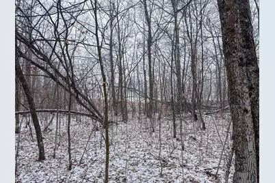 Tbd 181st Avenue, Clearbrook, MN 56634 - Photo 17