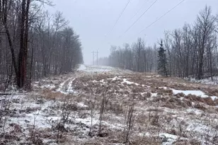 Tbd 181st Ave, Clearbrook, MN 56634 - Photo 11