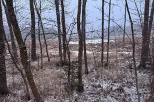 Tbd 181st Ave, Clearbrook, MN 56634 - Photo 19