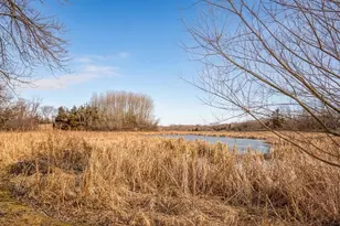 6159 132nd Ave NE, Spicer, MN 56288 - Photo 23