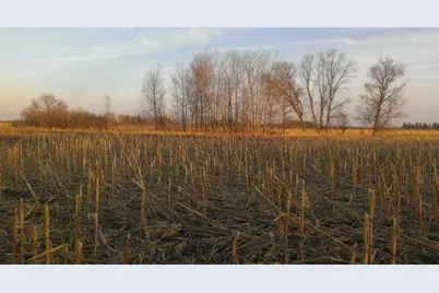 Tbd 16-005-0102 Mille Lacs County, Princeton, MN 55371 - Photo 3
