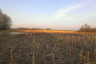 Tbd 16-005-0102 Mille Lacs County, Princeton, MN 55371 - Photo 1