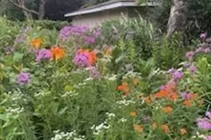 950 Blackoaks Ln, Anoka, MN 55303 - Photo 49