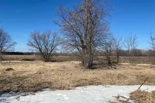 18890 55th St NE, Foley, MN 56329 - Photo 7