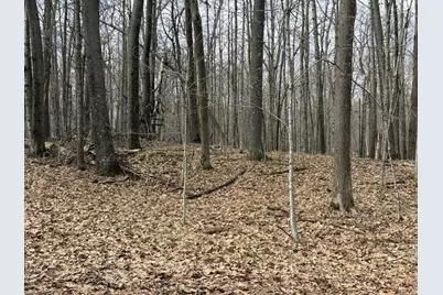 Tbd Ripley Spur Road, Sarona, WI 54870 - Photo 17