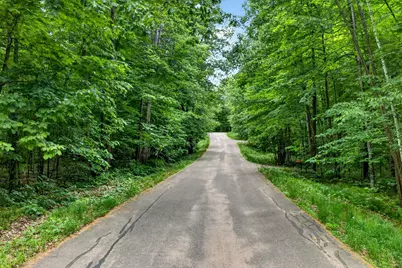 Tbd Ripley Spur Road, Sarona, WI 54870 - Photo 7