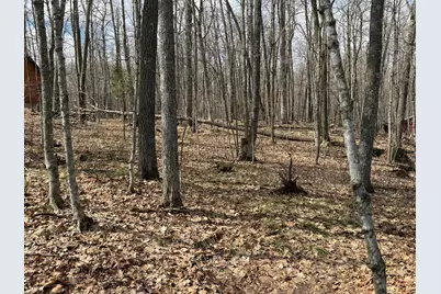 Tbd Ripley Spur Road, Sarona, WI 54870 - Photo 19