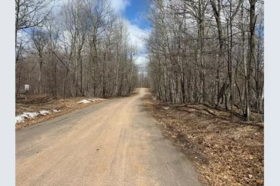 Tbd Ripley Spur Road, Sarona, WI 54870 - Photo 7