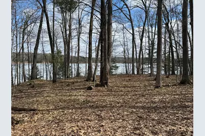 Tbd Ripley Spur Road, Sarona, WI 54870 - Photo 3