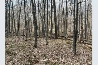 Tbd Ripley Spur Road, Sarona, WI 54870 - Photo 21