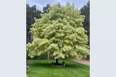 8555 15th Avenue NW, Rice, MN 56367 - Photo 11