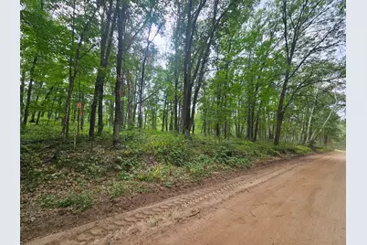 Tbd Tract B Richfield Road SW, Pillager, MN 56473 - Photo 1