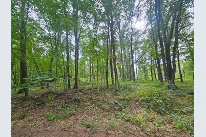Tbd Tract B Richfield Road SW, Pillager, MN 56473 - Photo 3