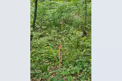 Tbd Tract C Richfield Road SW, Pillager, MN 56473 - Photo 11