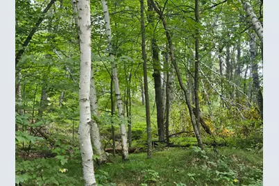 Tbd Tract C Richfield Road SW, Pillager, MN 56473 - Photo 15